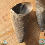 Corne de bœuf vide naturelle pour chien – friandise à mâcher longue durée