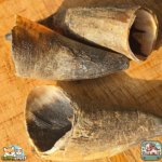 Corne de bœuf vide – friandise naturelle et durable pour chien.
