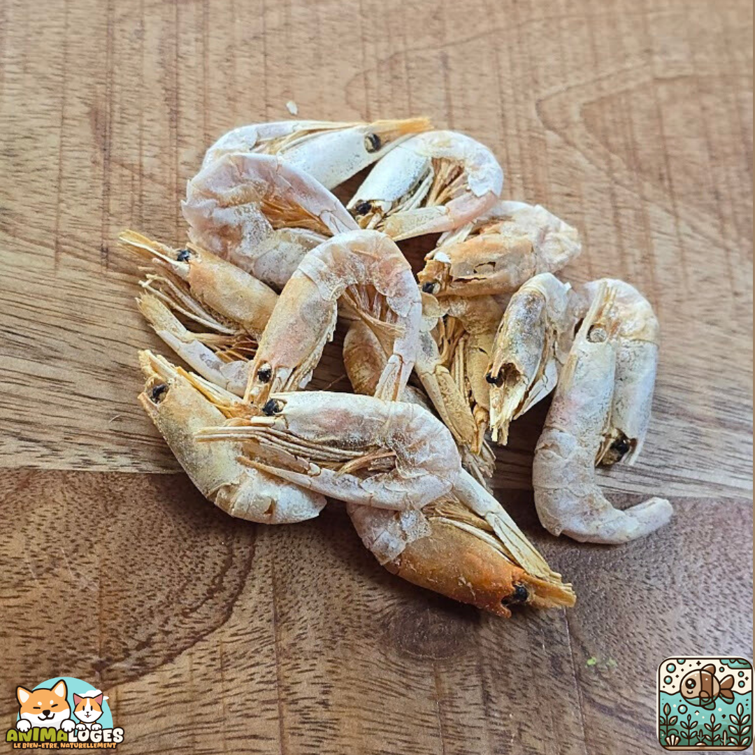 Friandise naturelle pour chien – crevettes séchées 100 %
