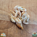 Friandise naturelle pour chien – crevettes séchées 100 %