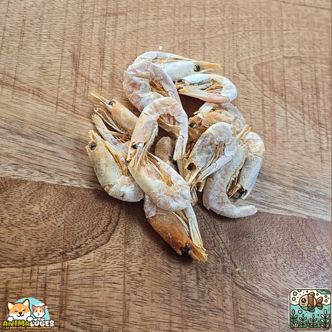 Friandise naturelle pour chien – crevettes séchées 100 %