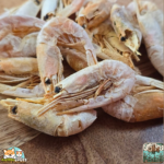 Friandise naturelle pour chien – crevettes séchées 100 %