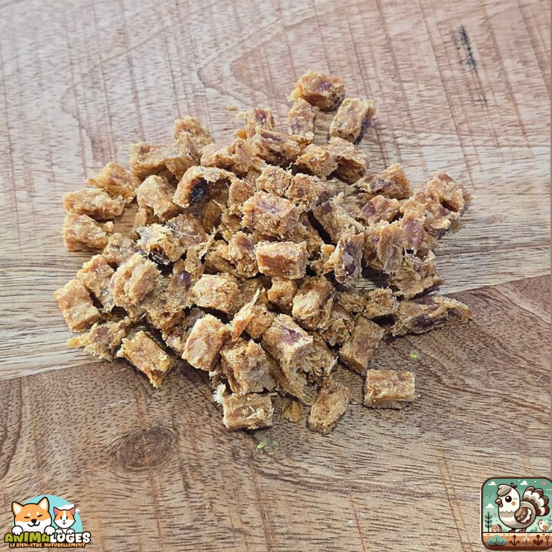 Cubes de pintade naturels pour chien