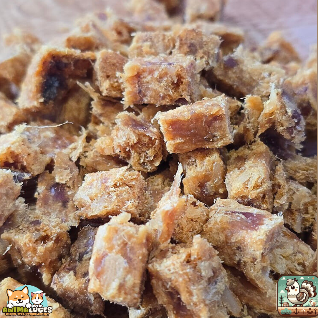 Cubes de pintade naturels pour chien