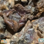 Estomac de poulet séché naturel pour chien – friandise poulet