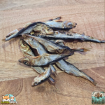 Hareng séché naturel pour chien – friandise poisson riche en oméga-3