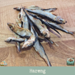 Hareng séché naturel pour chien – friandise poisson riche en oméga-3