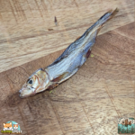 Hareng séché naturel pour chien – friandise poisson riche en oméga-3