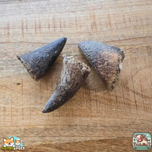 Noyau de corne de bœuf naturel pour chien – friandise à mâcher durable et savoureuse