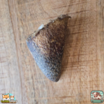 Noyau de corne de bœuf naturel pour chien – friandise à mâcher durable et savoureuse