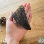 Noyau de corne de bœuf naturel pour chien – friandise à mâcher durable et savoureuse