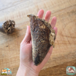 Noyau de corne de bœuf naturel pour chien – friandise à mâcher durable et savoureuse