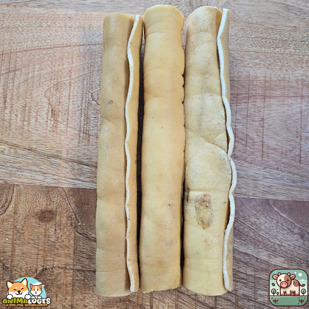 Peau de bœuf roulée séchée naturelle pour chien – friandise à mâcher