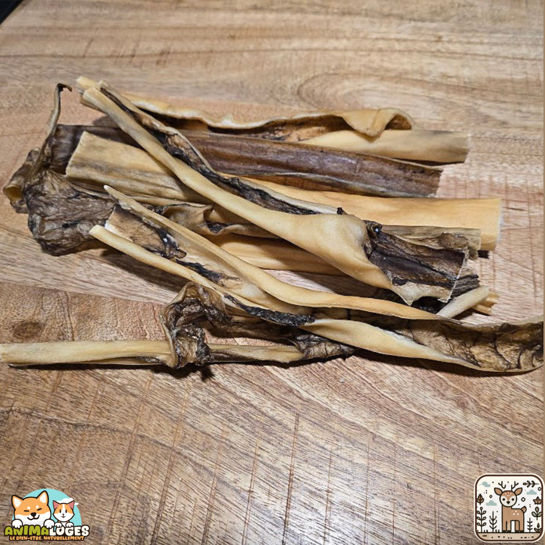 Peau de cerf 30 cm naturelle pour chien – friandise à mâcher longue durée