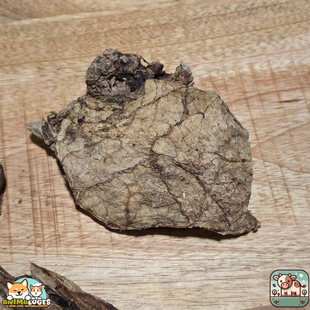 Poumons de bœuf séchés naturels pour chien – friandises riches en protéines