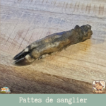 Patte de sanglier séchée naturelle pour chien – friandise robuste à mâcher