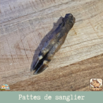 Patte de sanglier séchée naturelle pour chien – friandise robuste à mâcher