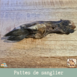 Patte de sanglier séchée naturelle pour chien – friandise robuste à mâcher