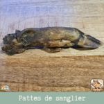 Patte de sanglier séchée naturelle pour chien – friandise robuste à mâcher