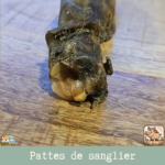 Patte de sanglier séchée naturelle pour chien – friandise robuste à mâcher