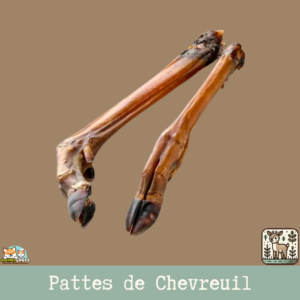 Patte de chevreuil séchée naturelle pour chien – friandise robuste à mâcher