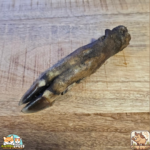 Patte de sanglier séchée naturelle pour chien – friandise robuste à mâcher