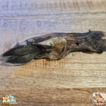 Patte de sanglier séchée naturelle pour chien – friandise robuste à mâcher