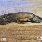 Patte de sanglier séchée naturelle pour chien – friandise robuste à mâcher