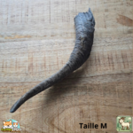 Corne de chèvre naturelle pour chien – friandise à mâcher en tailles S et M