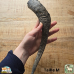 Corne de chèvre naturelle pour chien – friandise à mâcher en tailles S et M