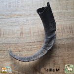 Corne de chèvre naturelle pour chien – friandise à mâcher en tailles S et M