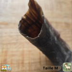 Corne de chèvre naturelle pour chien – friandise à mâcher en tailles S et M