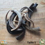 Corne de chèvre naturelle pour chien – friandise à mâcher en tailles S et M