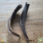 Corne de chèvre naturelle pour chien – friandise à mâcher en tailles S et M