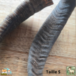 Corne de chèvre naturelle pour chien – friandise à mâcher en tailles S et M