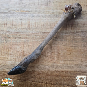 Patte de cerf séchée naturelle pour chien – friandise à mâcher riche en protéines