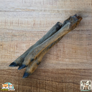 Patte de chevreuil séchée naturelle pour chien – friandise robuste à mâcher