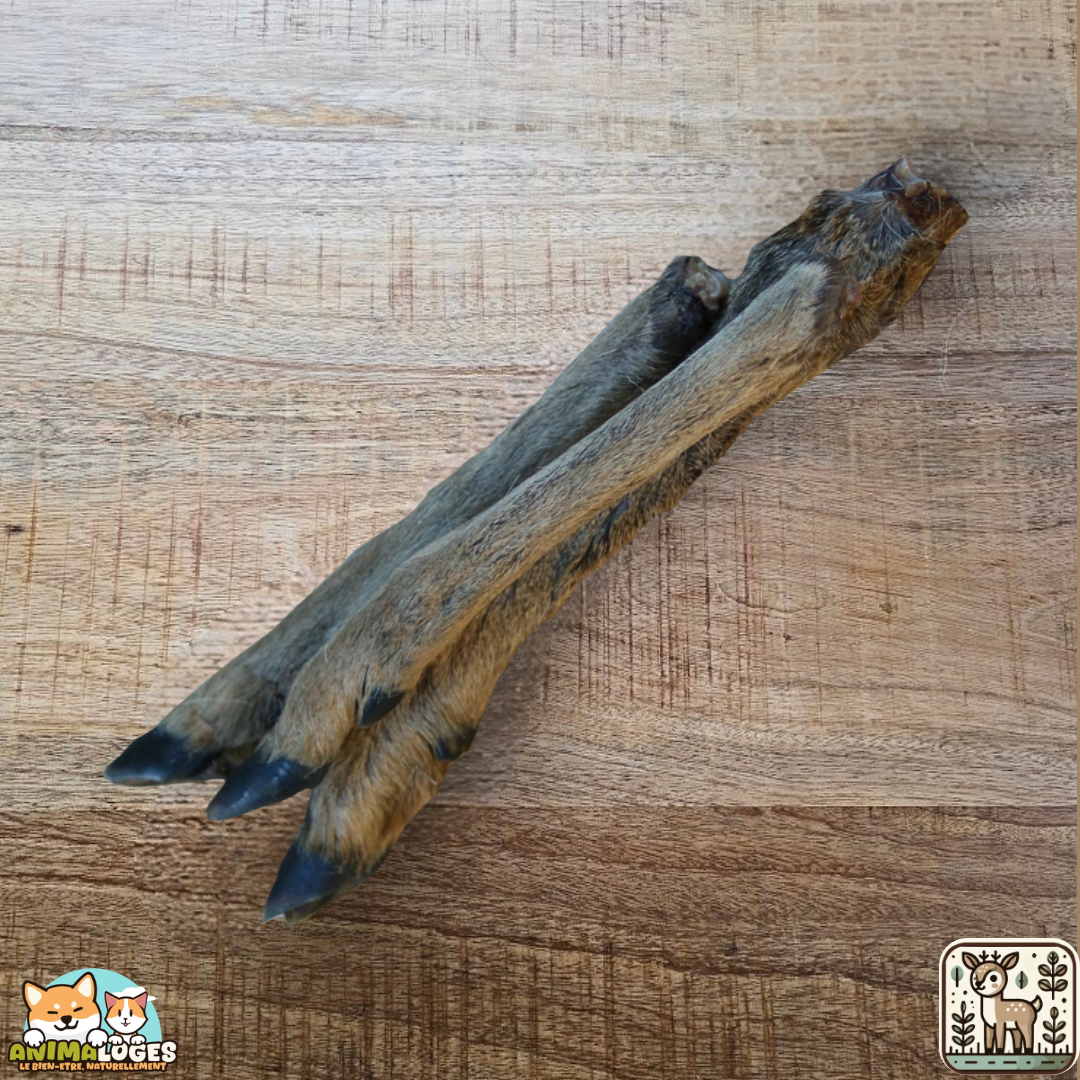 Patte de chevreuil séchée naturelle pour chien – friandise robuste à mâcher