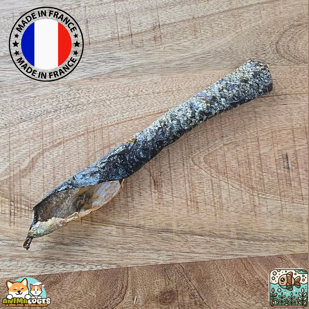 Peau de saumon séchée naturelle pour chien – friandise saine au poisson