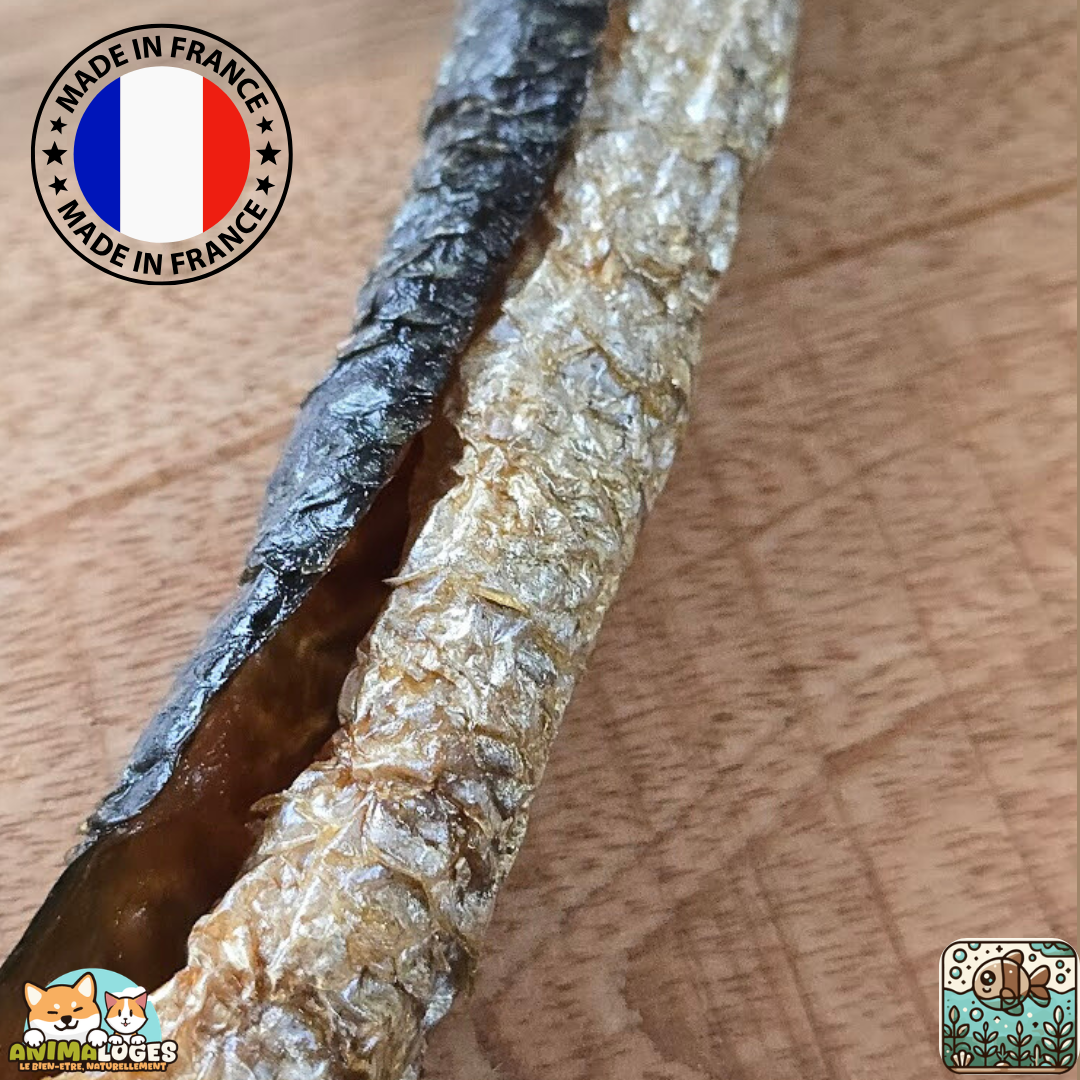 Peau de saumon séchée naturelle pour chien – friandise saine au poisson