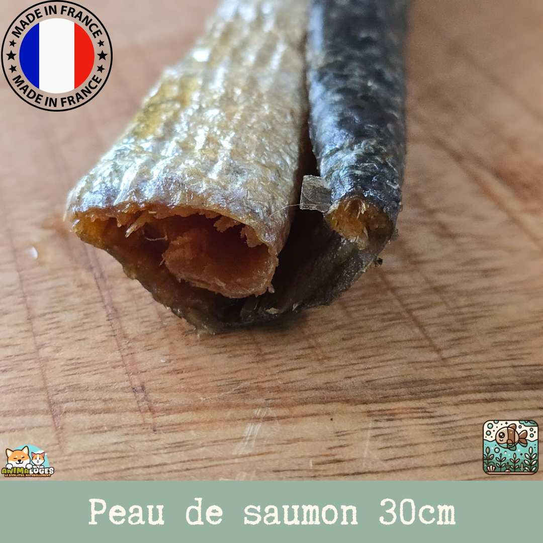 Peau de saumon séchée naturelle pour chien – friandise saine au poisson