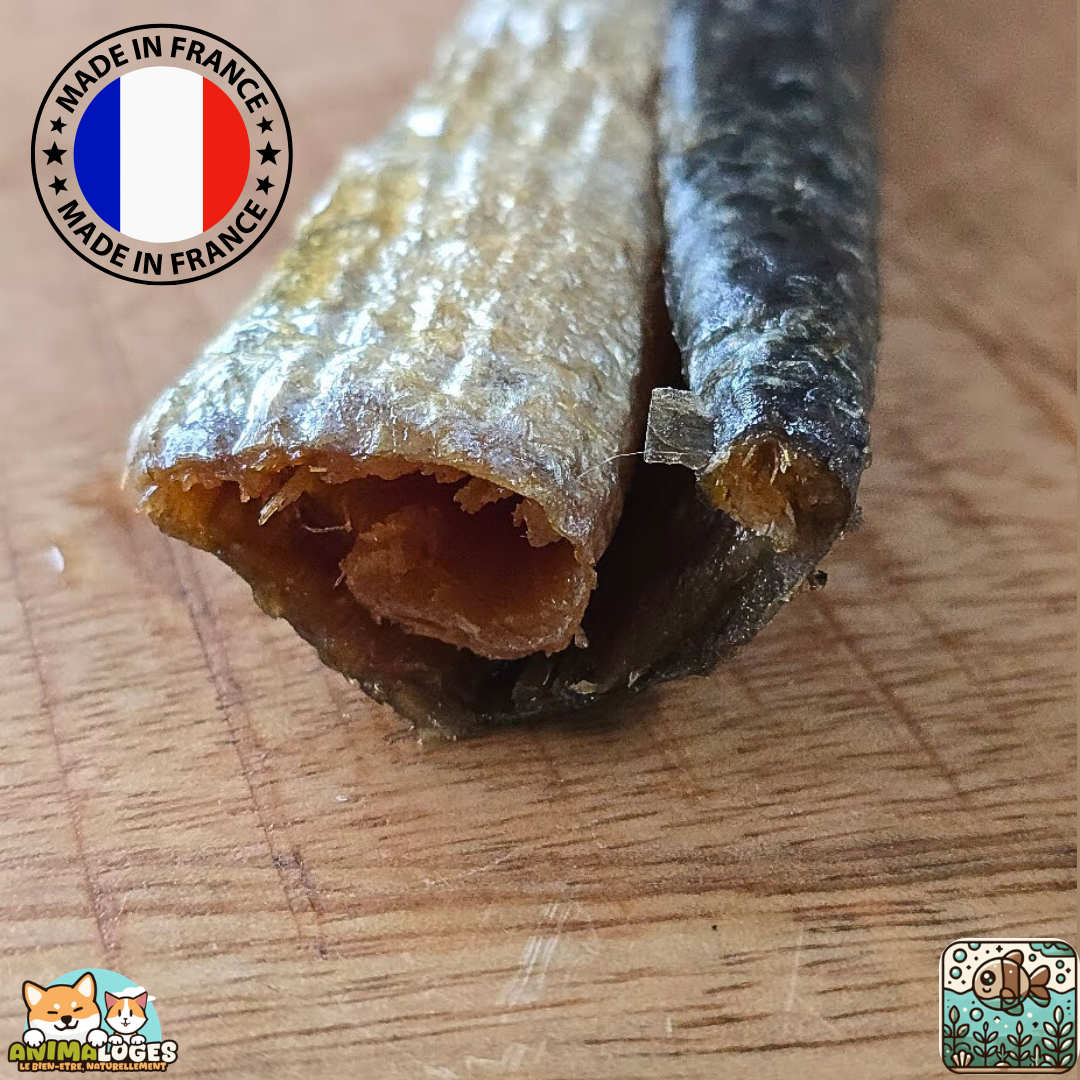 Peau de saumon séchée naturelle pour chien – friandise saine au poisson