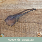 Queue de sanglier séchée naturelle pour chien – friandise à mâcher