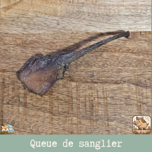 Queue de sanglier séchée naturelle pour chien – friandise à mâcher