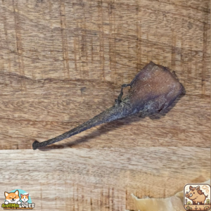 Queue de sanglier séchée naturelle pour chien – friandise à mâcher