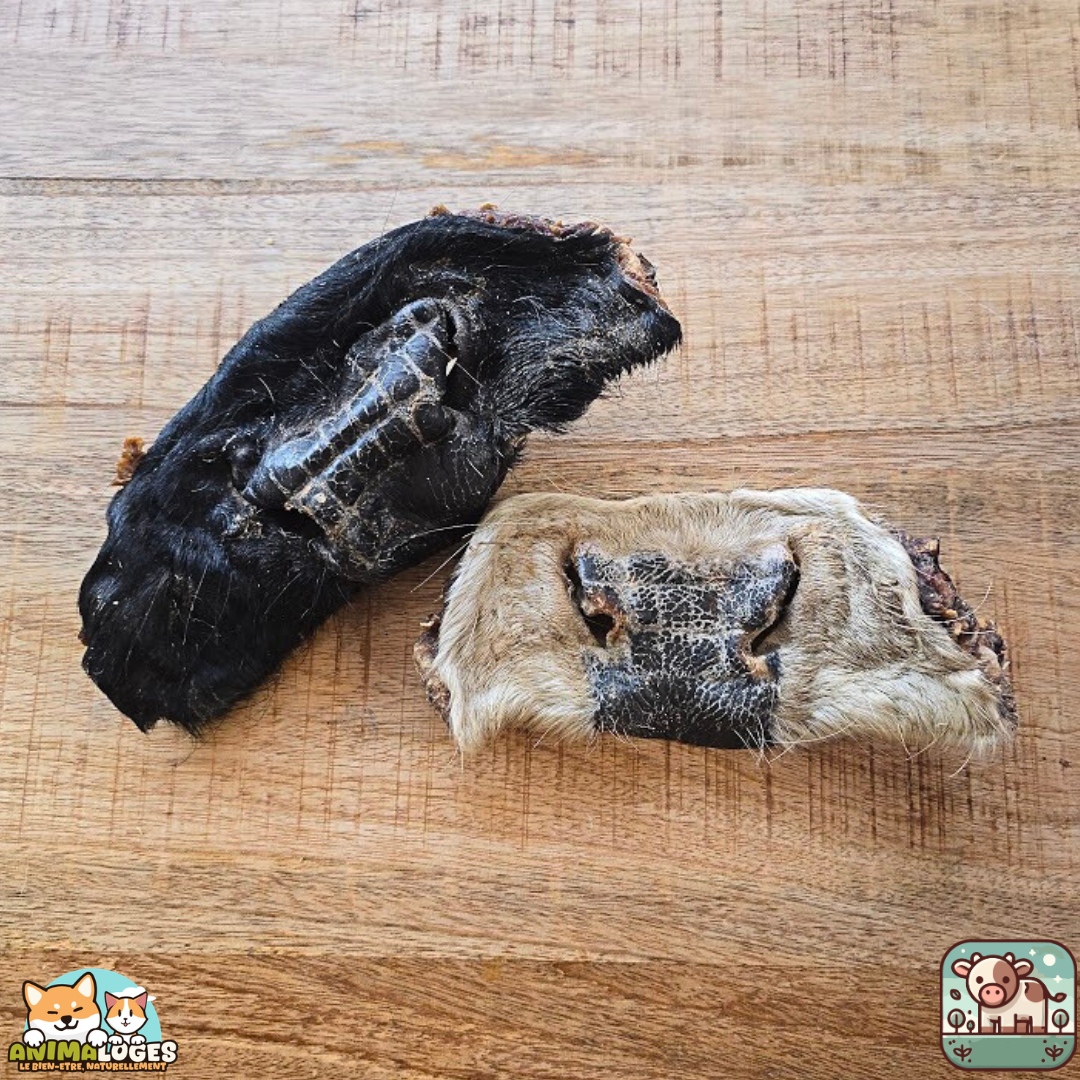 Museaux de bœuf avec poils naturels pour chien – friandises à mâcher