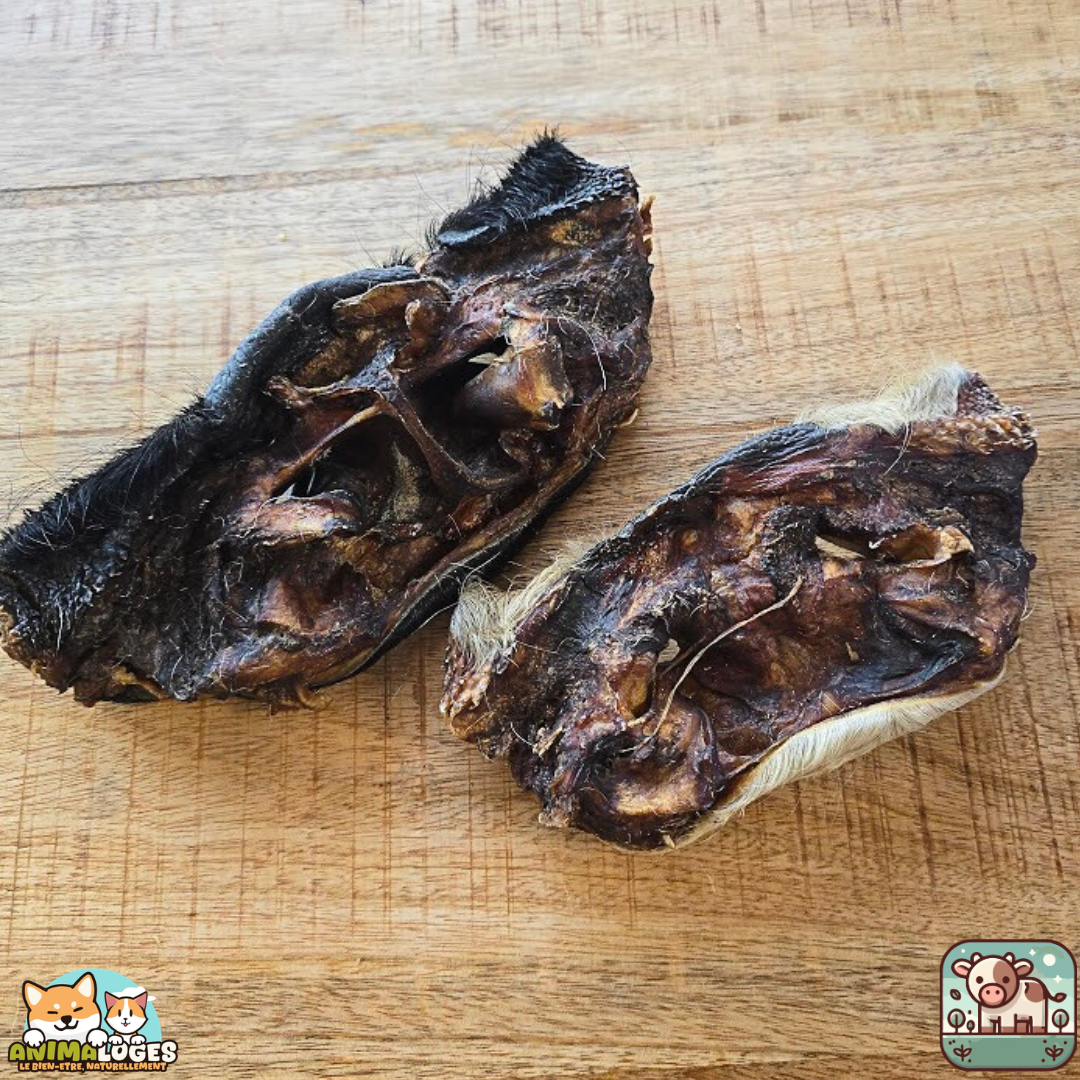 Museaux de bœuf avec poils naturels pour chien – friandises à mâcher