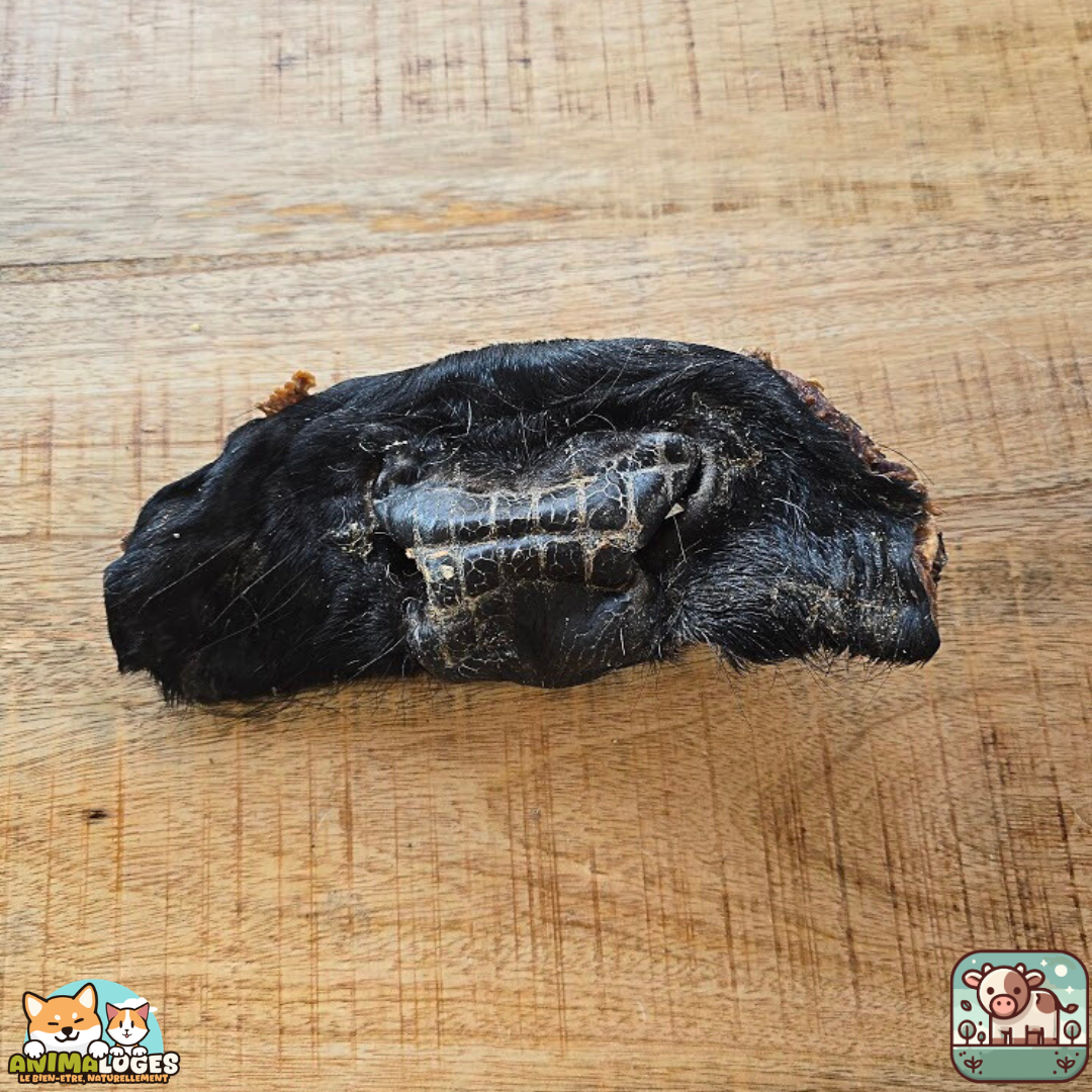 Museaux de bœuf avec poils naturels pour chien – friandises à mâcher