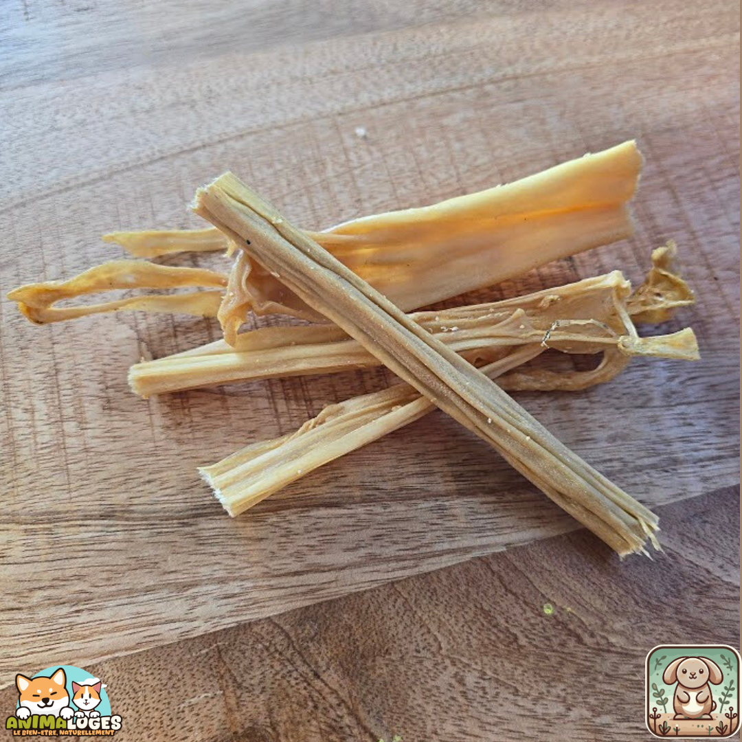 Peau de lapin 15 cm naturelle pour chien – friandise à mâcher