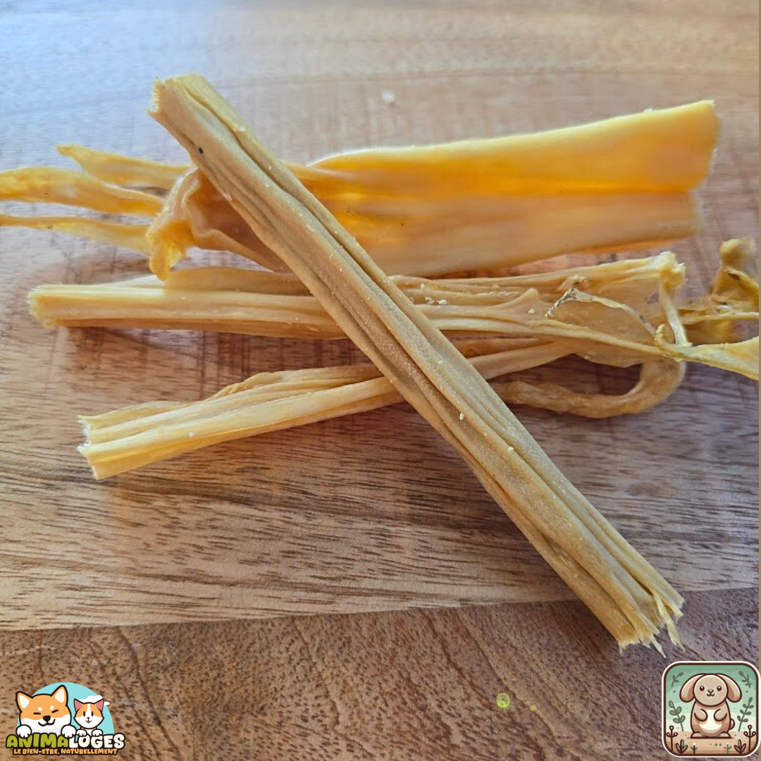 Peau de lapin 15 cm naturelle pour chien – friandise à mâcher